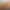 Фотография квеста «VR Arizona Sunshine» (слайд  №2)